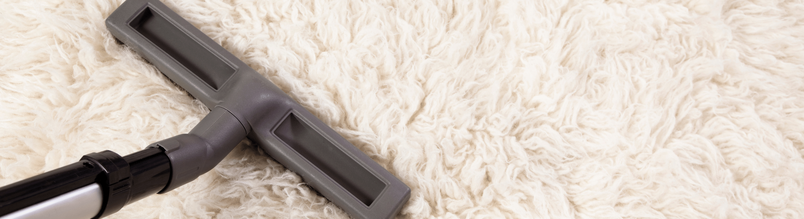Vacuum attachment cleaning a white shag rug