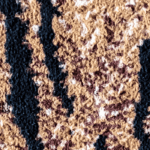 Closeup of tiger rug
