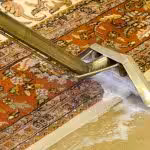 Carpet cleaner being used on Oriental rug