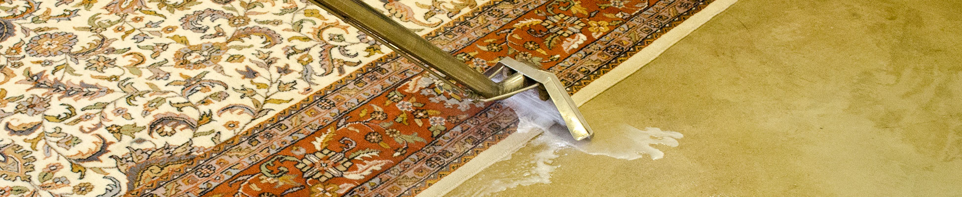 Carpet cleaner being used on Oriental rug