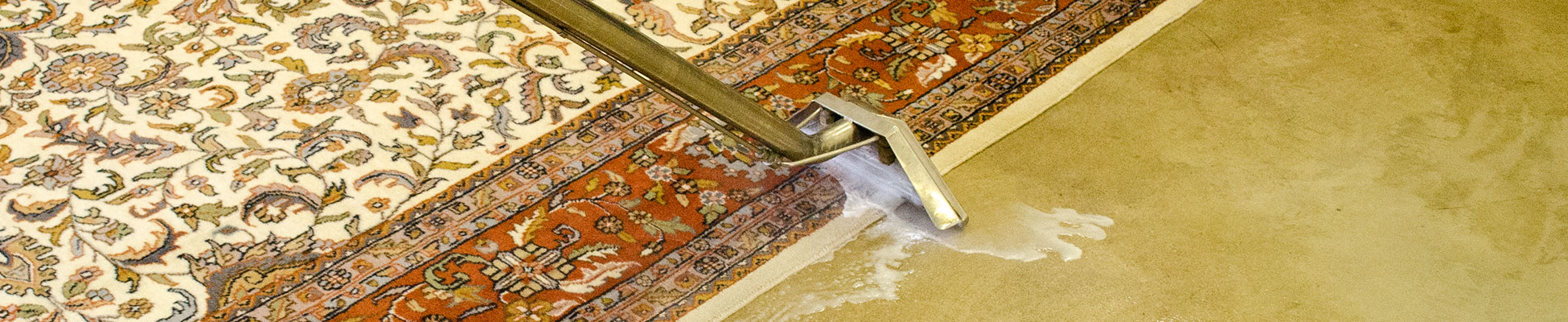 Oriental Rug Pet Stain Removal - The Rug Gallery in Cincinnati