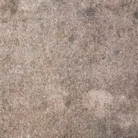Brown carpet covered in mold and mildrew in need of repair