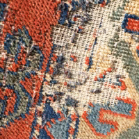 Colorful rug with moth damage