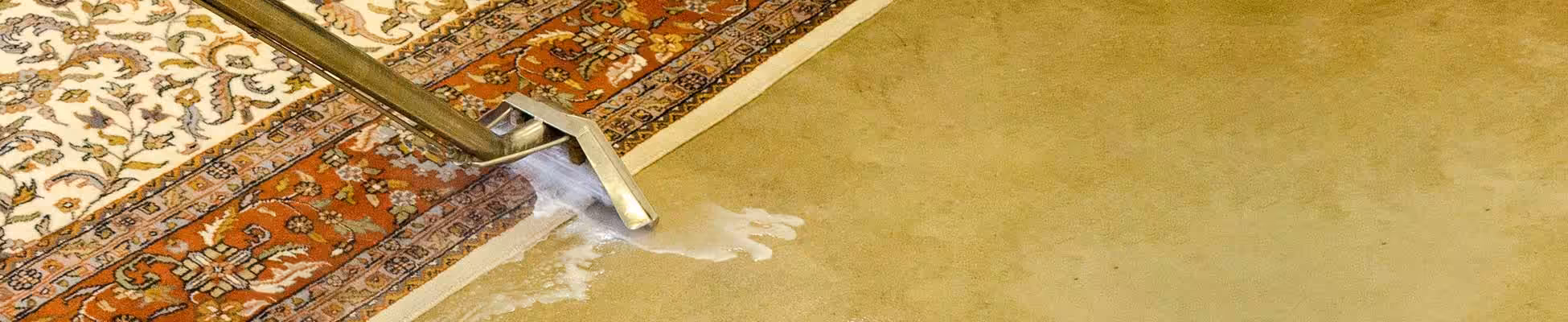 TRG-Rug-Cleaning-2
