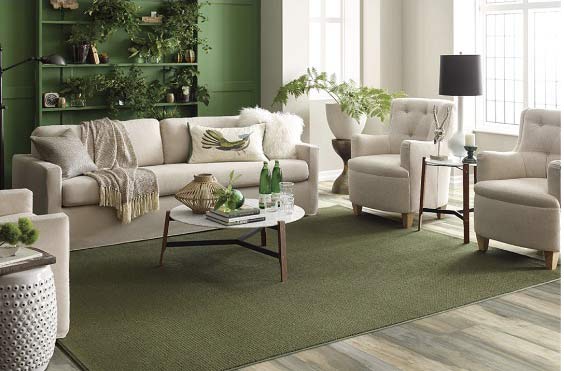 A living room photo with a green rug and green accents